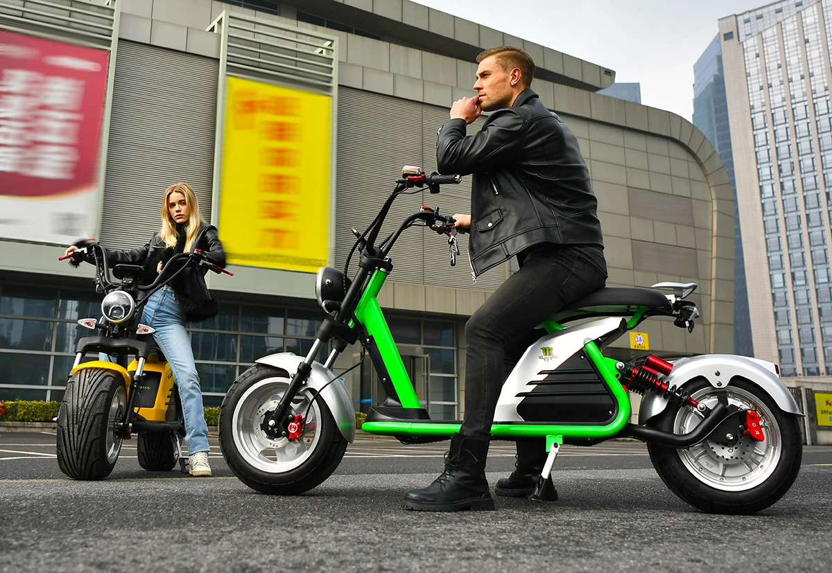 2000W/3000W 10 pouces/12 pouces Scooter électrique Citycoco pour adultes Nouvelle moto électrique EEC.