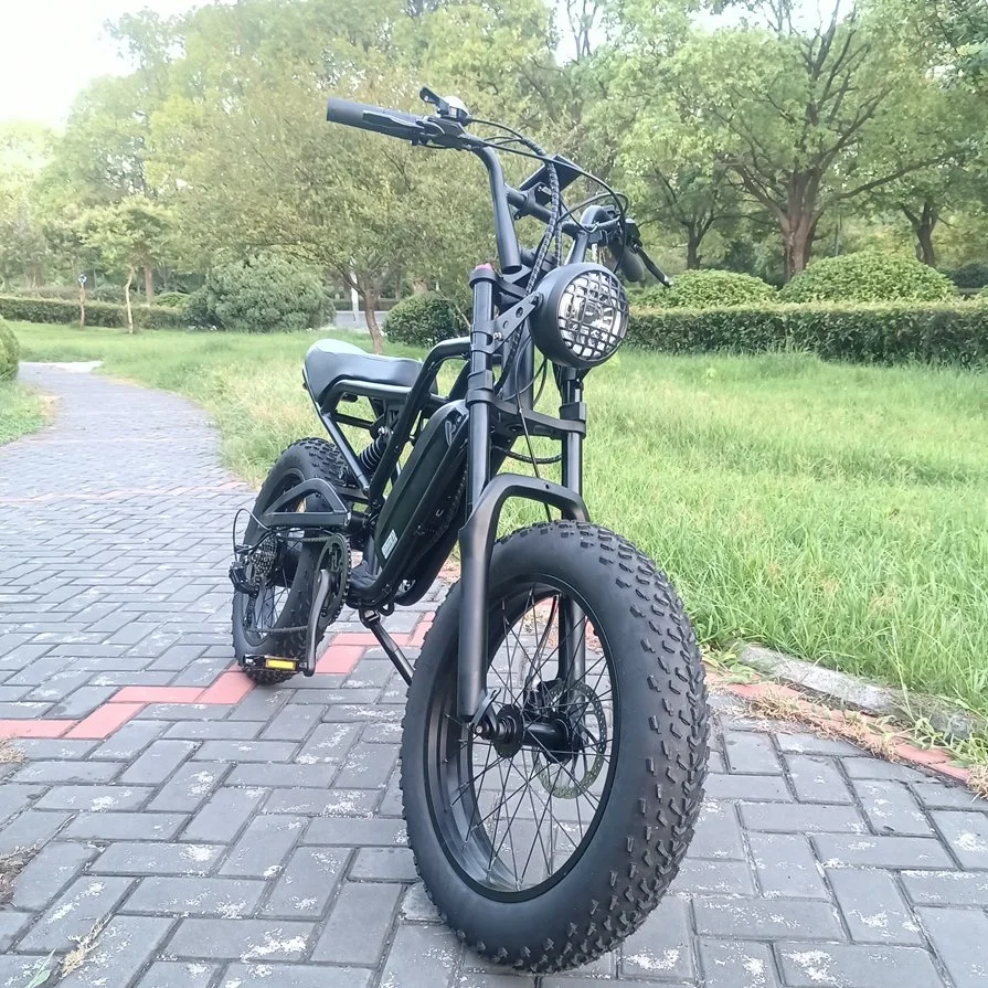 دراجة هوائية كهربائية من السلسلة Ebike بقدرة 48 فولت بقوة 1000 واط مع تعليق هوائي مزدوج FAT Tire 20"X4.0 Snow Bike