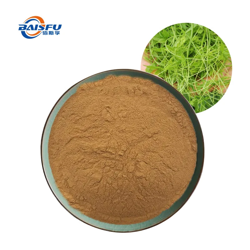 Hot Selling Organic Gynostemma Extract Gynostemma Plant Extract Powder CAS: 15588-68-8 Gynostemma Extract