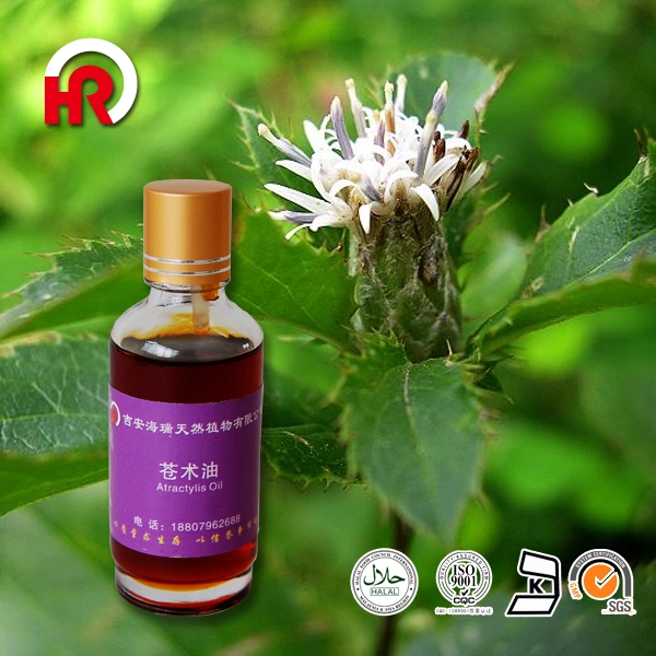 Wholesale/Supplier Essential Pure Atractylis Oil