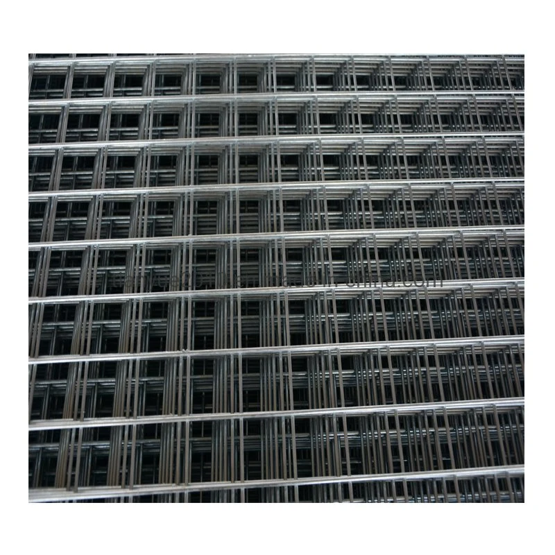 China Manufacture Building Material Electro Galvanized Welded Wire Mesh (TYB-0074)