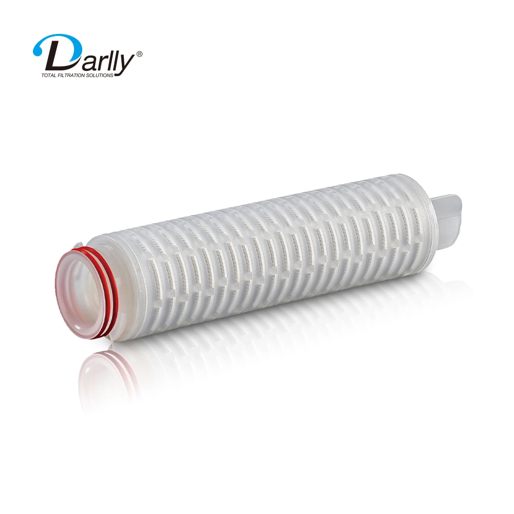 +0.22Darlly 0,45 um double couche de sécurité élevée polyéthersulfone (PES) Filtre plissé de membrane de filtration stérile finale Cartridgefor