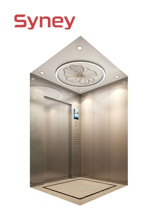 Cheap Good Safe Positive Drive Elevator Luxury Villa Home Lifts Passenger Elevator Lift Price with Free Service Tool