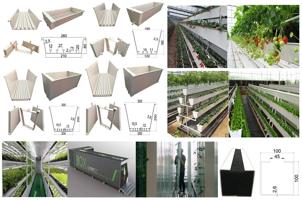 La agricultura invernadero hidropónico Nft Sistema de crecimiento del canal