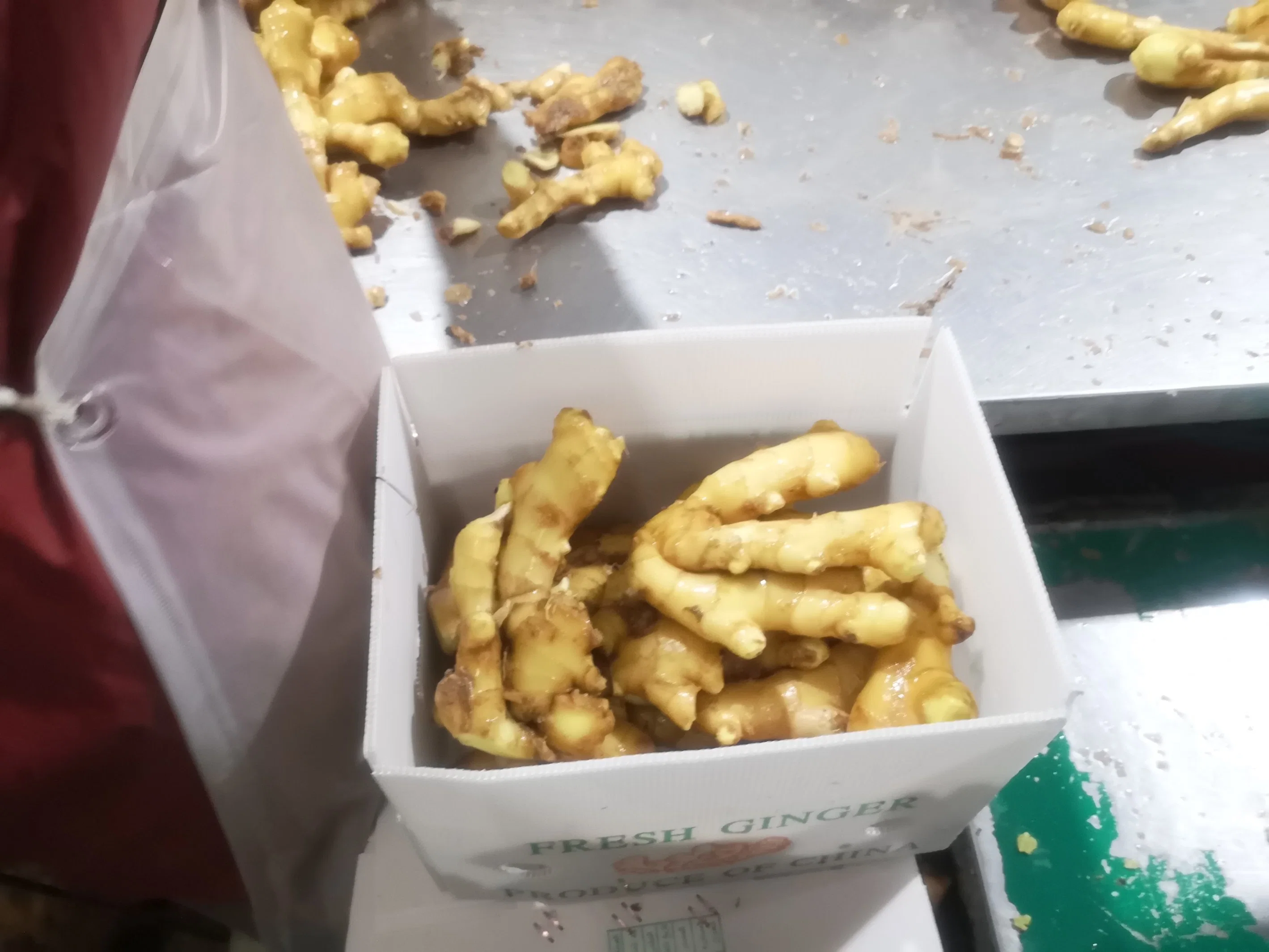 2020 New Crop Chinese Fresh Ginger with PVC Box Packing