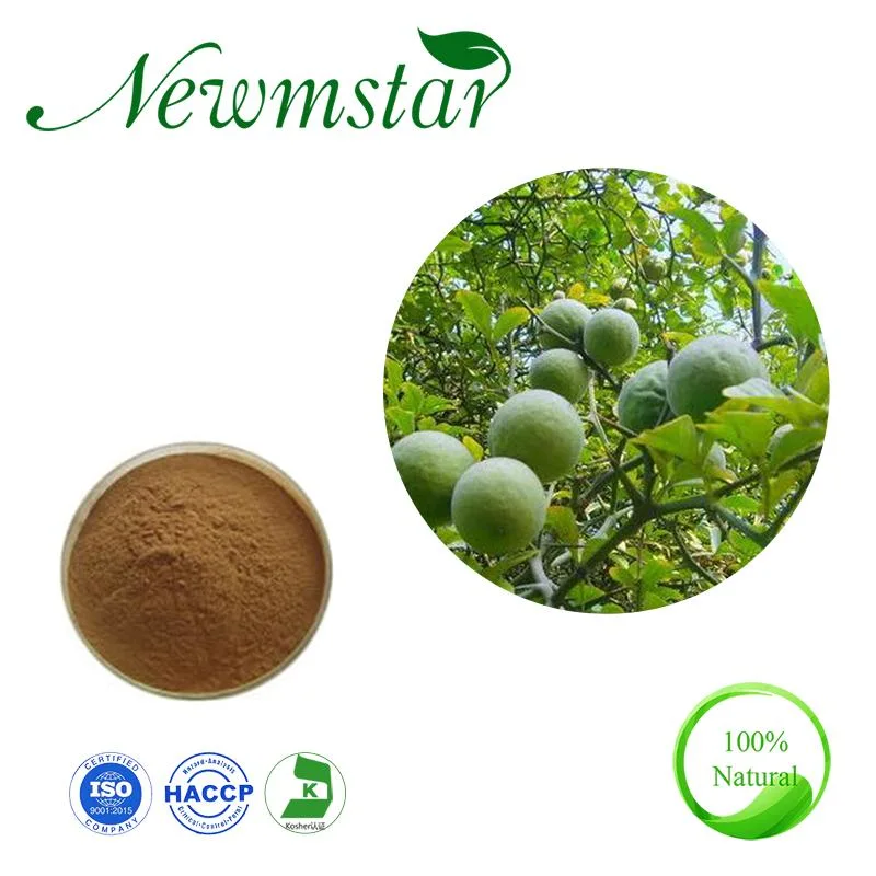 100% Natural Citrus Aurantium Extract Herbal Extract 5%~90% Synephrine for Weight Loss