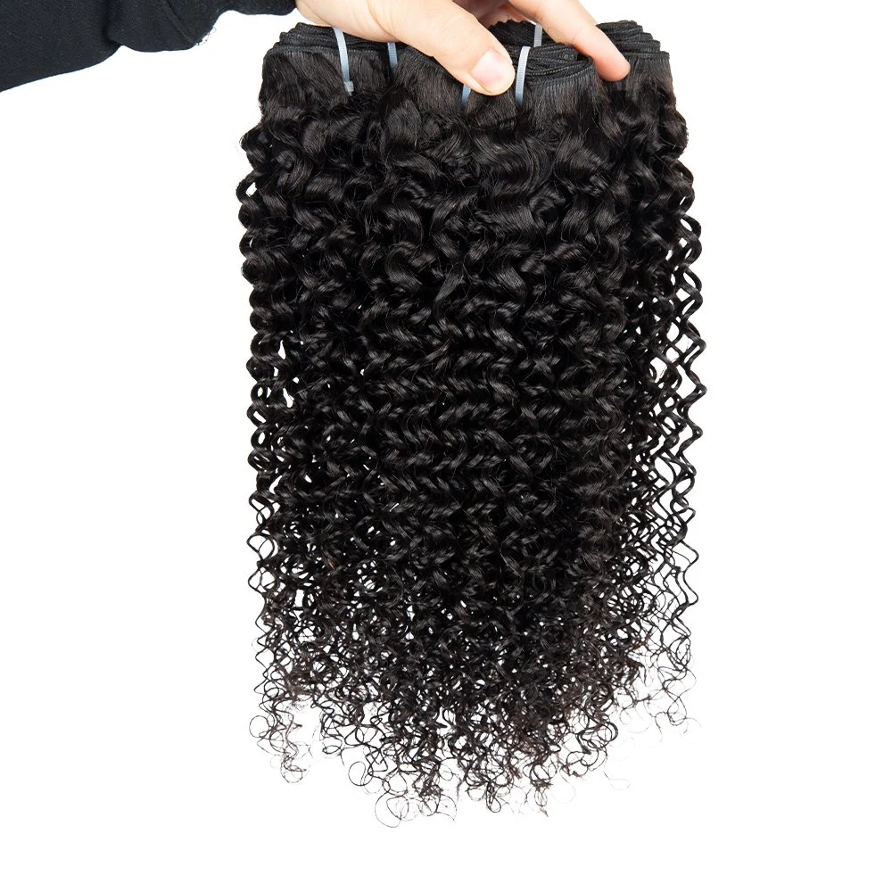 8 Inch to 30 Inch Jerry Curl Brazilian Virgin Hair Extensions Top Grade Remy Human Hair Weaving