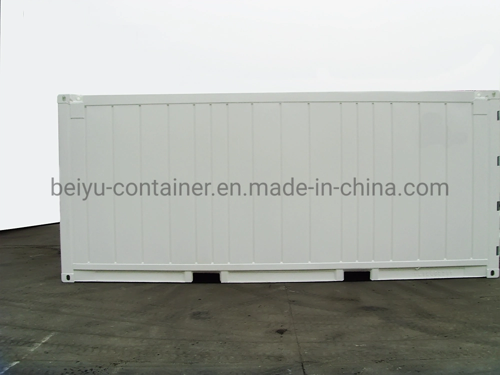 New 20FT Csc and Dnv2.7-1 Ceritified Offshore Reefer Shipping Container