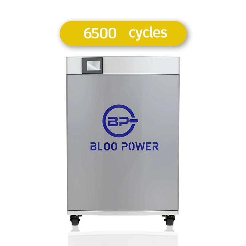 Bloopower 5kWh Ion Pack de Stockage à Usage Domestique 10 kW Source de Sauvegarde 3,2V 80Ah Chargeur de Cellule d'Énergie Solaire Boîtier Monté au Mur.