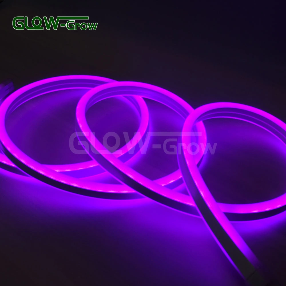 UL ETL Color Changing Double Side RGB Sync 5050 Flexible LED Neon Flex Strip Light with Reote Controller for Project Commercial Holiday Decoration