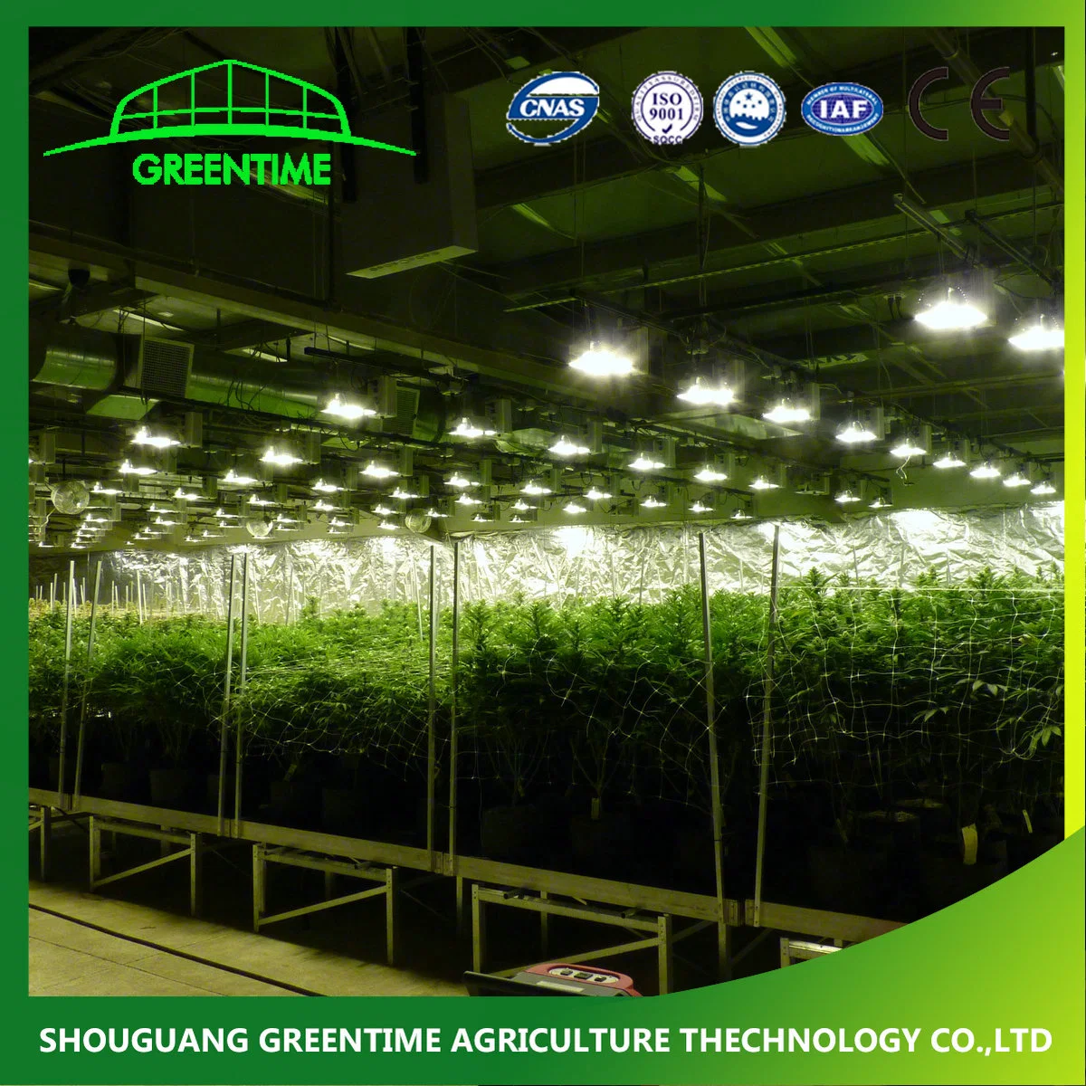 High quality/High cost performance  Commercial Light Deprivation Blackout Greenhouse in Canada