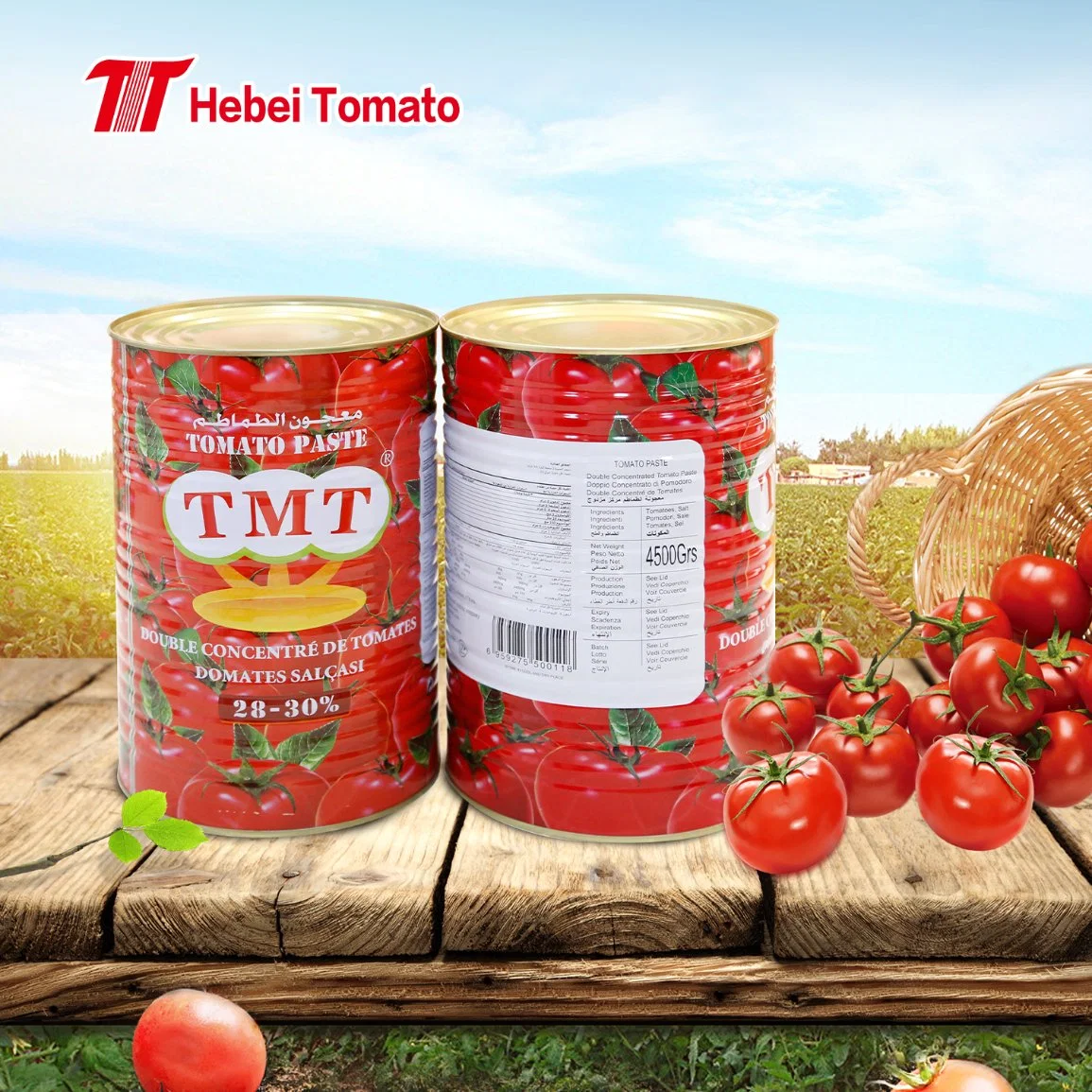 4500g Canned Tomato Paste with 28-30% Brix Without Additive From Manufacturer