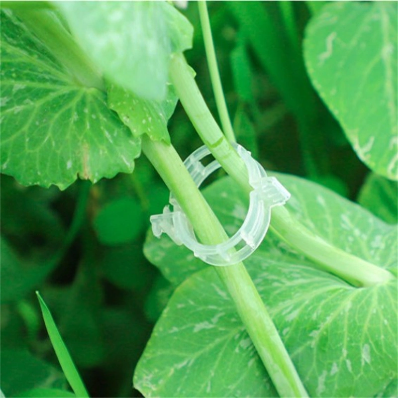 Wassermelone Gemüse Garten Tomate Trellis Clip Kunststoff-Pflanze Stützclip