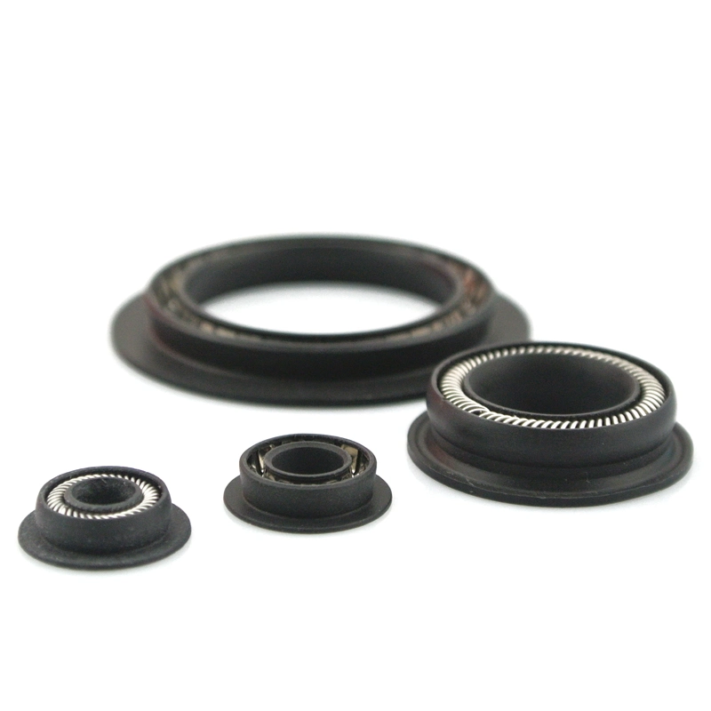 Seals Qualified Manufacturer PTFE Material Rotary Seal Spring Energized Seal