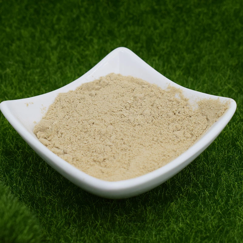 Silk Amino Acid Powder, Amino Acid Fertil Powder, Amino Acid Powder Agriculture