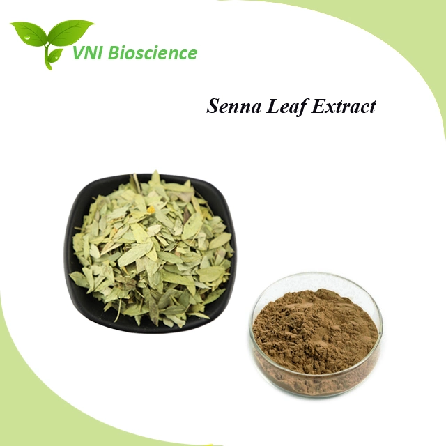 Kosher Halal Certified 100% Natural 1%-20% Folium Sennae Extract