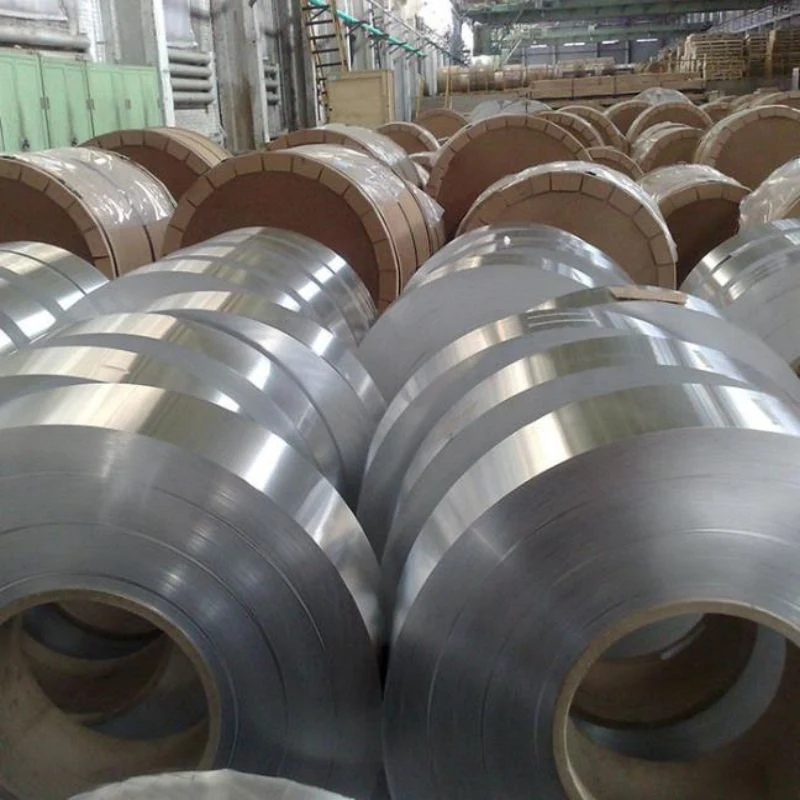 Aluminum/Alloy/Copper Stripss314 310S Coil Sheet Hot Cold Rolled Stainless Steel Strip