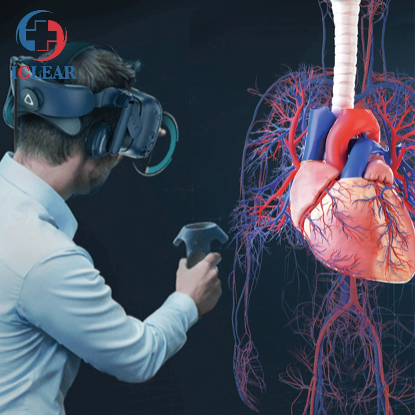 Clinic University Vr 3D Human Body Visible Anatomy Teaching System