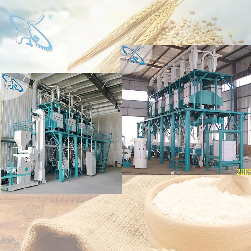 Automatic 50t/D Wheat Bakery Flour Making Mill Machinery for Africa