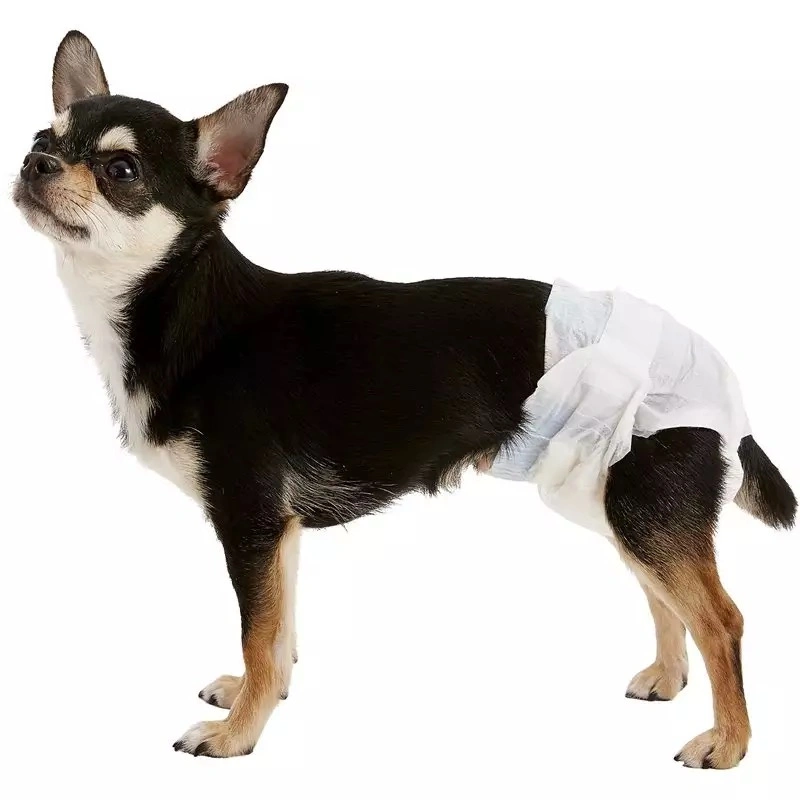 Disposable Pet Baby Adult Dog Diapers Disposable Male High Absorbent Dog Diaper