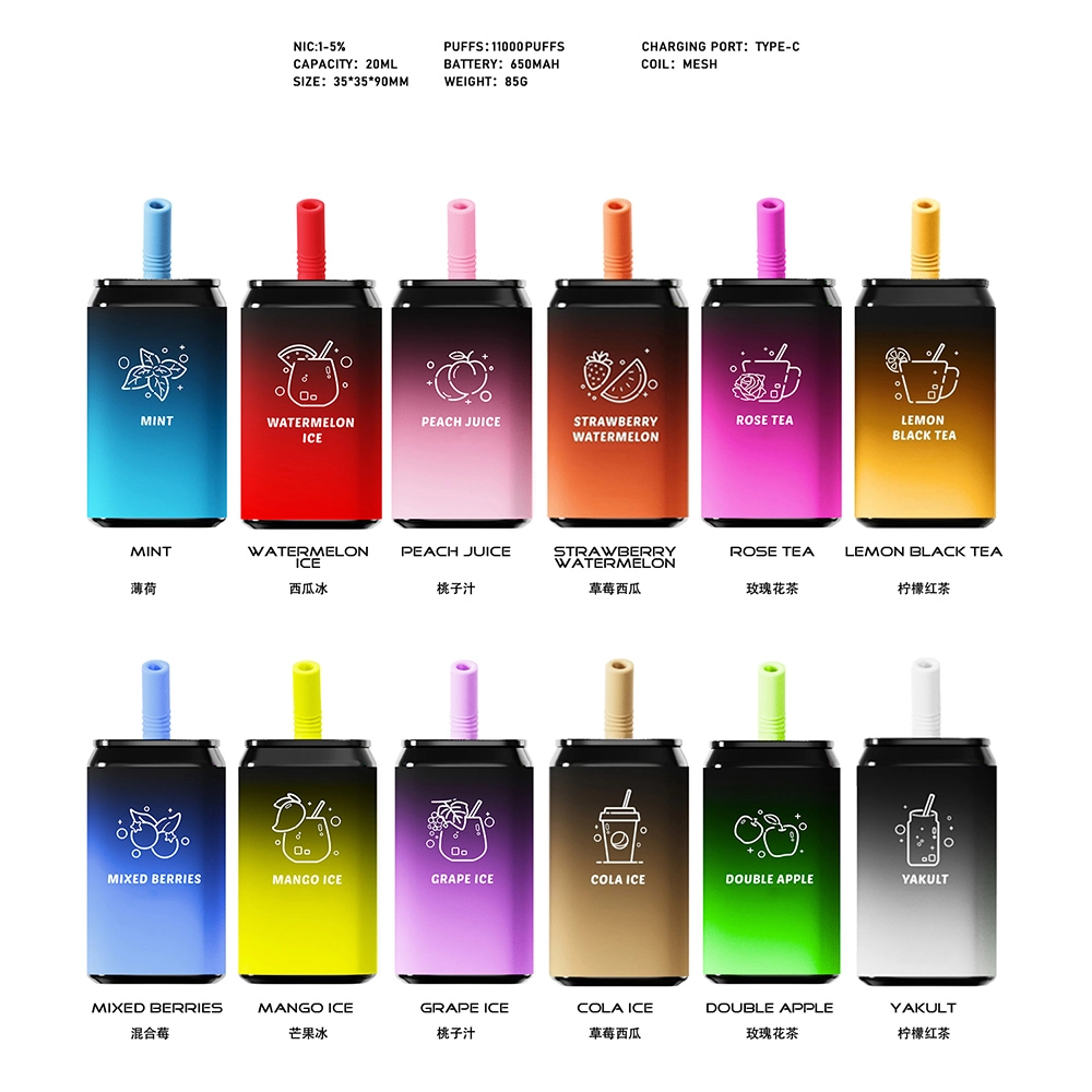 Disposable/Chargeable Vape Pen Fruits Flavors E Cigarette Randm Tornado 11000 Big Puffs 20ml Prefilled Rechargeable Pod