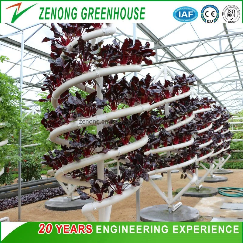 Vertical Dwc Hydroponic Channel System in Greenhouse and Farm Nft Channels for Hydroponics Growing