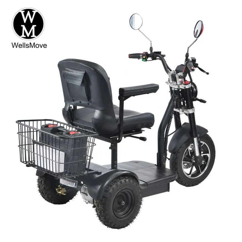 Adulte 600W 48V20A Batterie au lithium Scooter de tricycle électrique récréatif à charge lourde