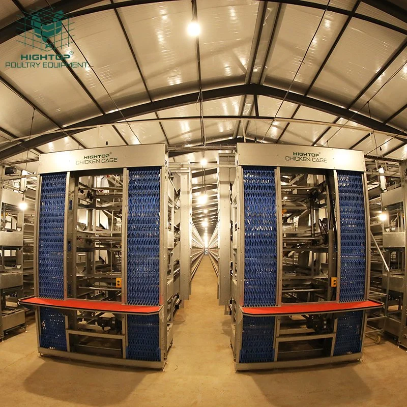 Hot DIP Galvanized H Type Automatic Layer Chicken Cage System