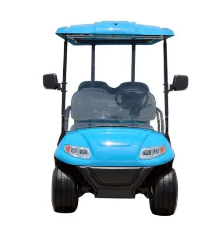 Small 6 Person Electric Golf Buggy European Electric Go Kart for Sale