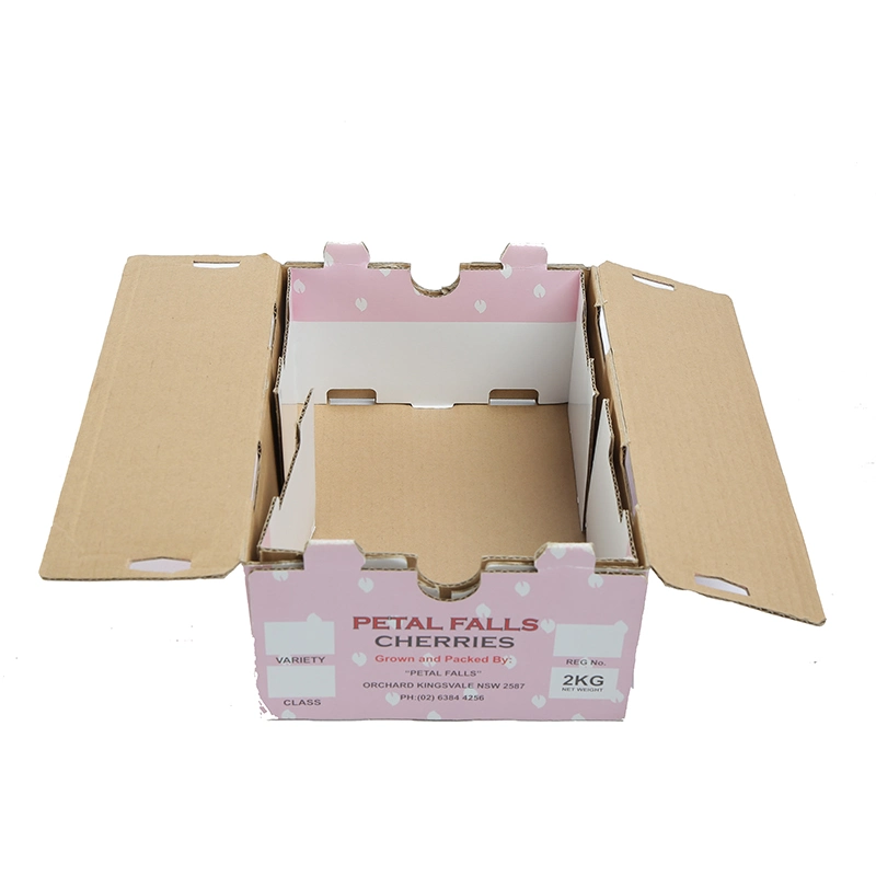 Custom Paper Corrugated Pink Inside Printed for Fruit Packaging