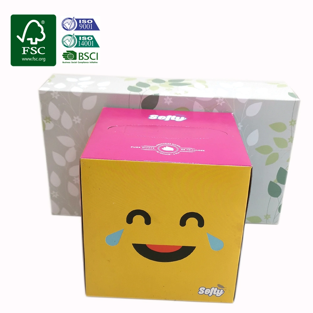 Wholesale/Supplier Cheap Price Flat Box Big Soft Plastic Pack Cube Box Paper Facial Tissue