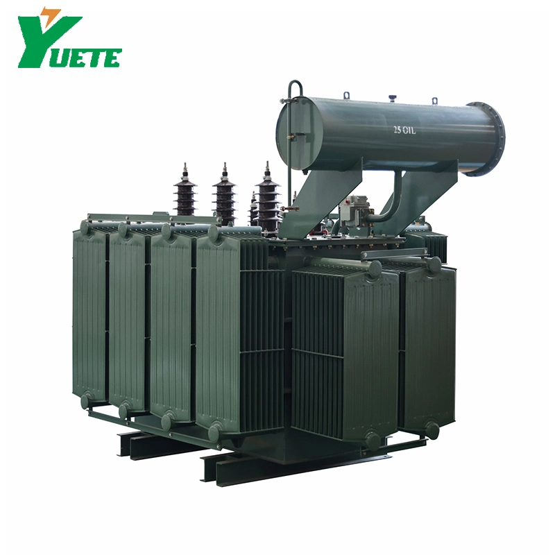 Philippines 3 Phase Step Down 13.2kv 13.8kv Oil Immersed Power Distribution Transformer