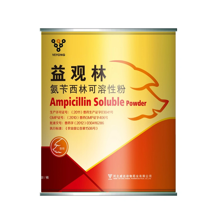 Medicina de las ovejas 1,5% ampicilina Trihidrato y Vitamina soluble polvo para Pollo de comida premezclada para aves