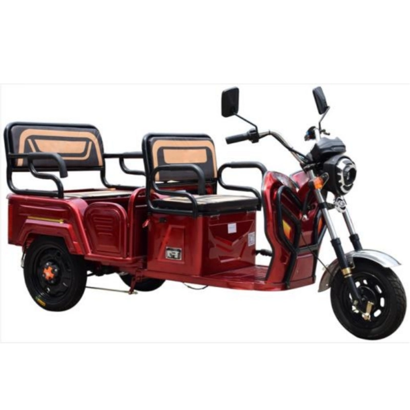 China Factory Supply Elektro-Dreirad, Cargo Motorrad, E Cargo Trike, E-Fahrzeug