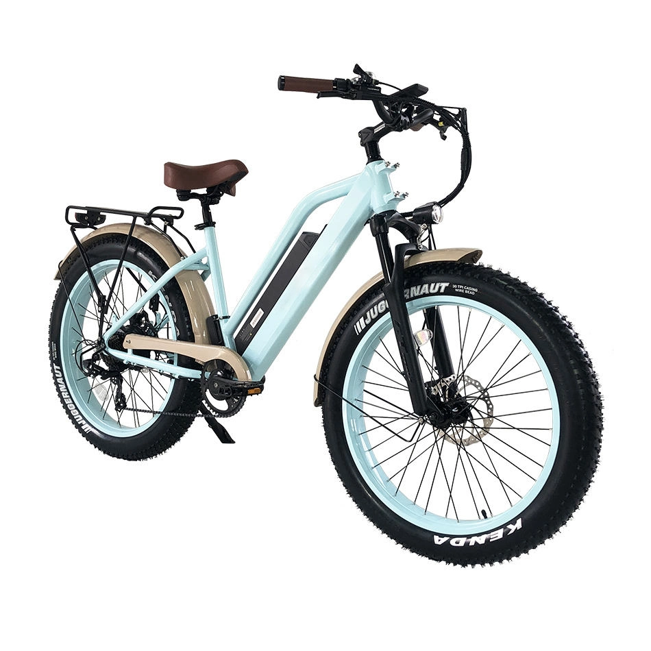 Green 17.5ah 750W High quality/High cost performance  Popular Lithium Battery China Electric Bicycle for Adults