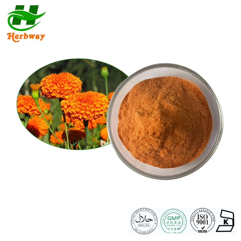 Herbway Kosher Halal FSSC certifié HACCP Prix de gros Tagetes Erecta L. Marigold extrait