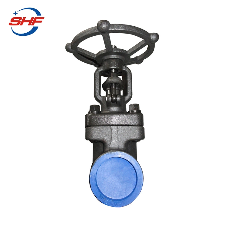 Outside Screw and Yoke Gate Valve with Sw and NPT, Bsp Ends