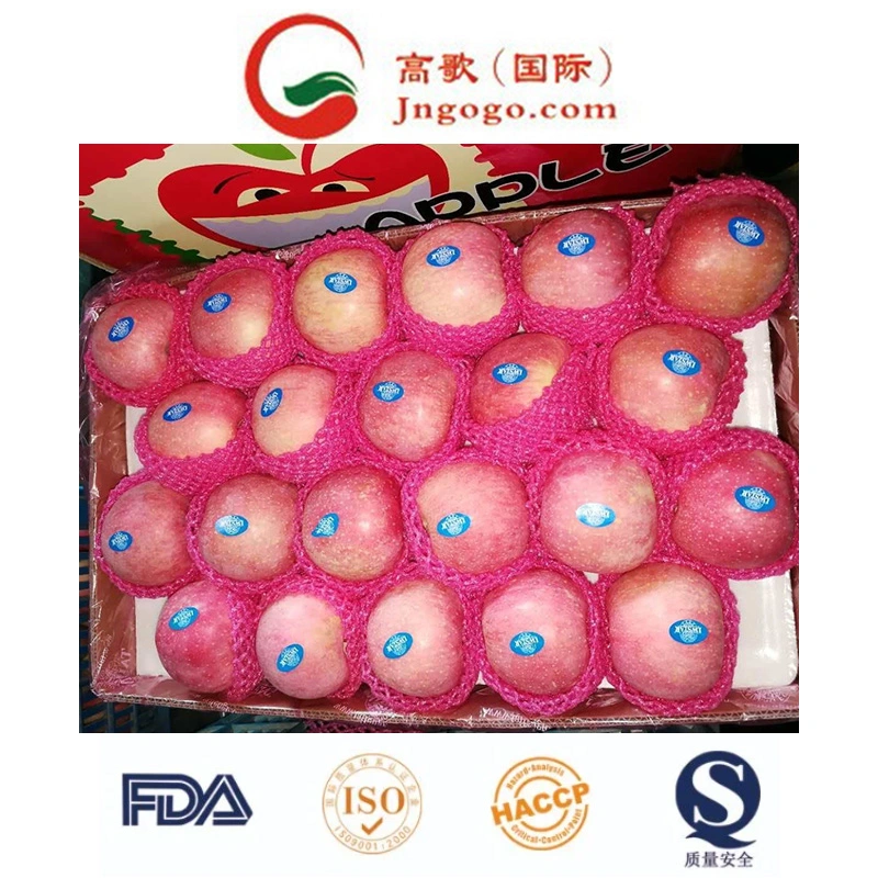 Good Quality Carton Packing Fresh Apple