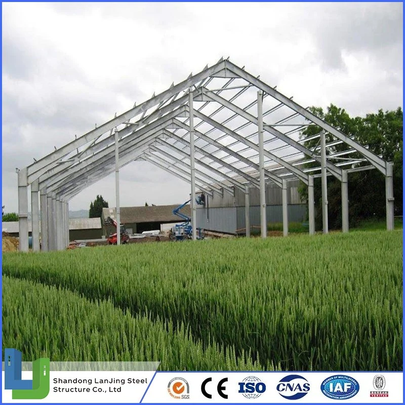 Metal Light Steel Building Construction Frame Modular Prefabricated Warehouse Workshop Hangar Garage for Industrial Buildings