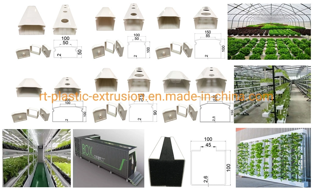 Crecimiento del PVC en el sistema hidropónico Greenhouse/NFT