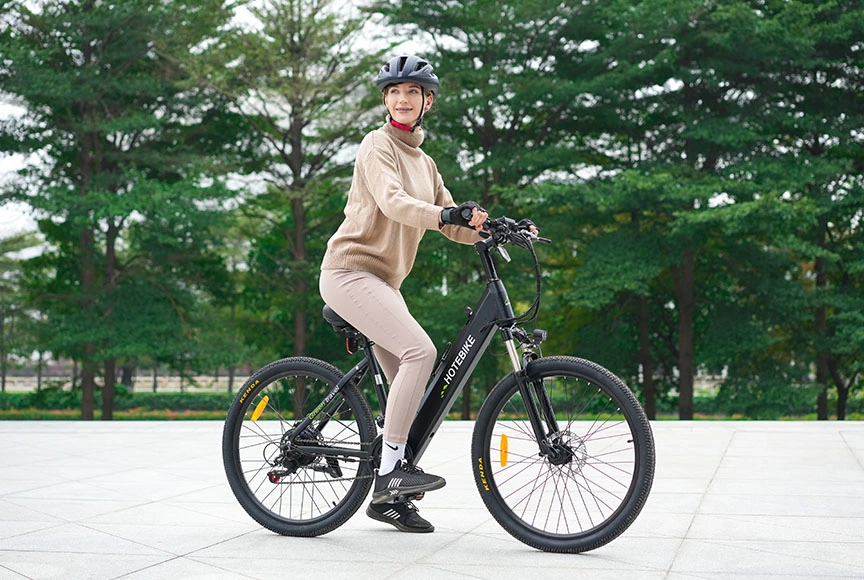 Factory Direct China Alta velocidad bicicleta eléctrica 750W 1000W oculto Batería MID Drive Electric Bike 48V Electric Bike