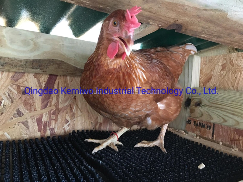 Plastic Products for Chickens PVC/PE Material Laying Hen Mat