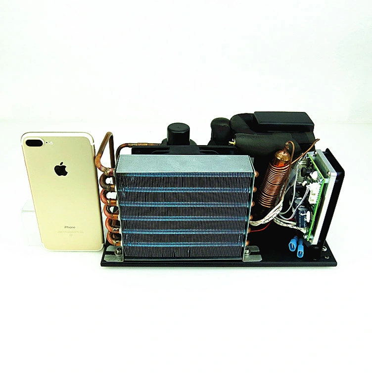 DC 12V HVAC Small Cooling System Water Chiller Module with Mini Compressor for Laboratory Cooling