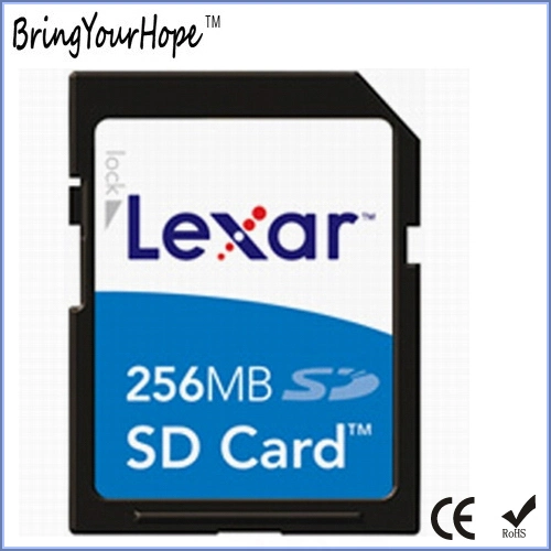 256MB SD Memory Card (256MB SD)