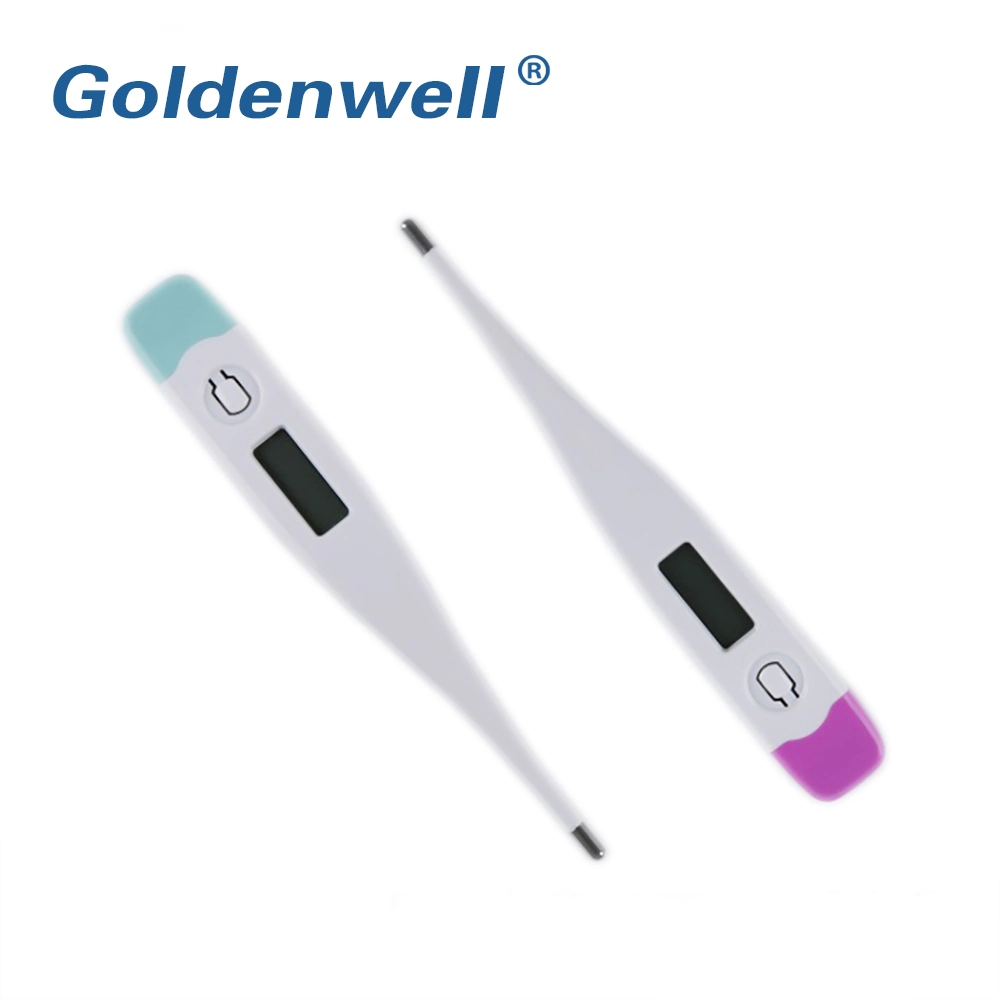 Wholesale/Supplier Low Price Portable Digital Thermometer Medical with CE ISO