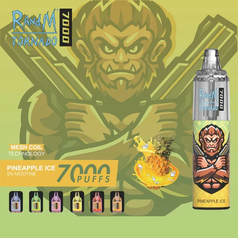 USA and Canada Hot Selling 100% Original Randm RM Disposable Vapes Tornado 7000 Puffs with Mesh Coil