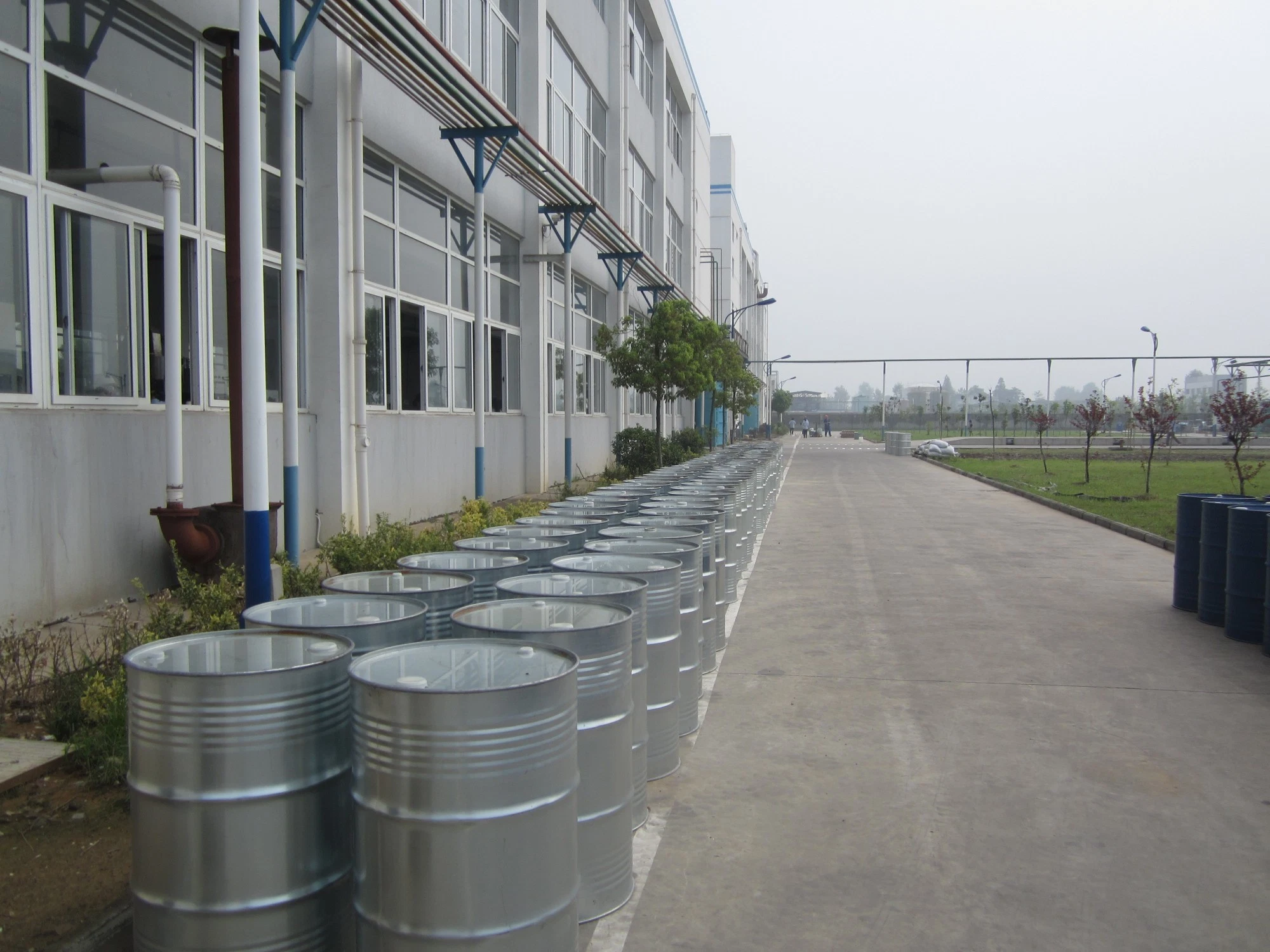 CAS: 83055-99-6 Pesticide Herbicide Agrochemical Herbicide 60% Wdg/Wg Bensulfuron-Methyl