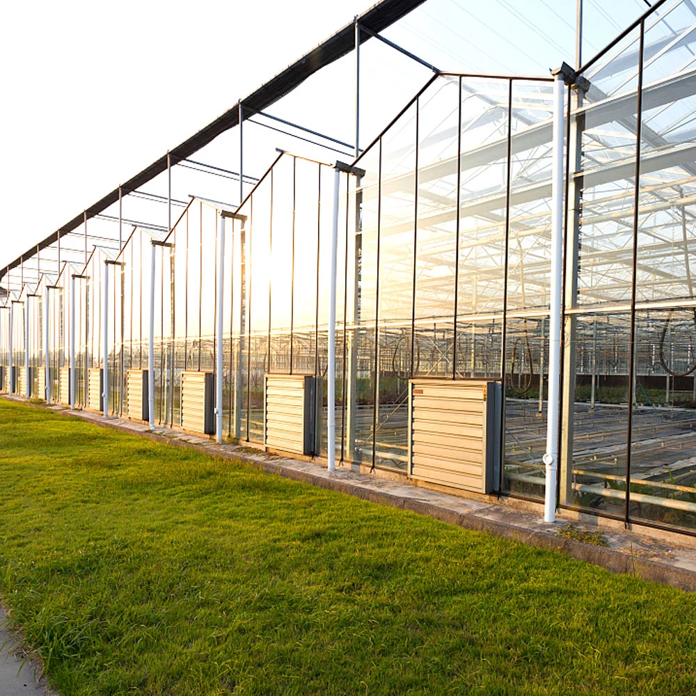 Film/Glass Horticultural Small Garden Greenhouse with Coffee/Tea Chat Desk/Seed Rack/Fan/Flower Vegetable Feed