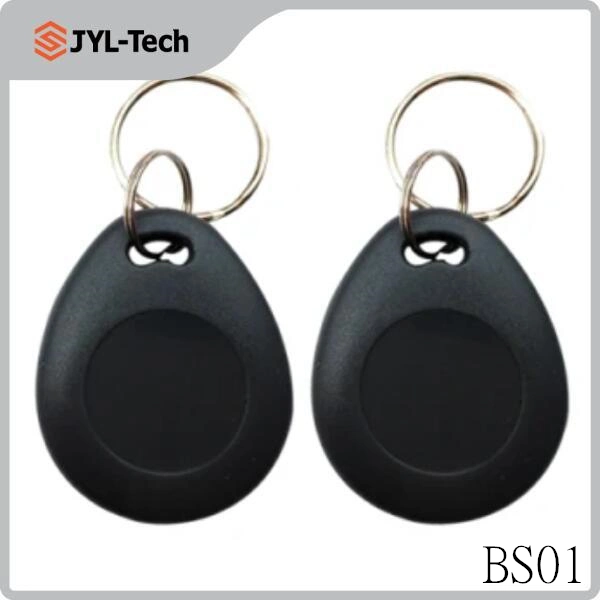 Control de acceso a puertas ABS RFID Keychains Smart Tk4100 125kHz Chip Llavero RFID