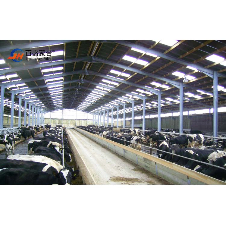 Low Cost Livestock Shed Prefabricated Steel Structure Cow House